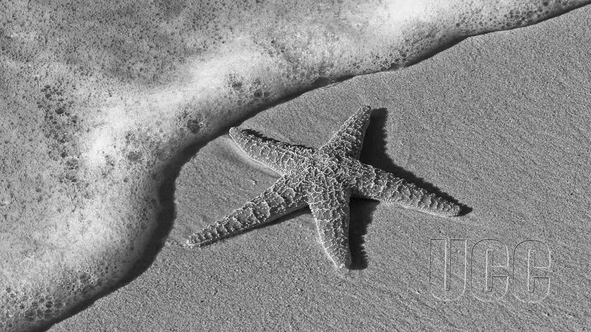South African High Commissioner Confers with Pro-Vice-Chancellor
